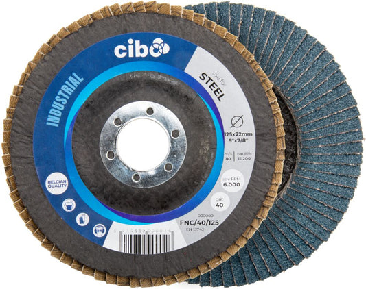 Disc Lamelar Zirconiu 125mm