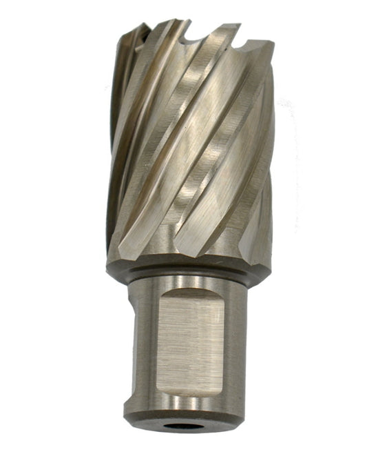 Carota HSS Prindere Weldon